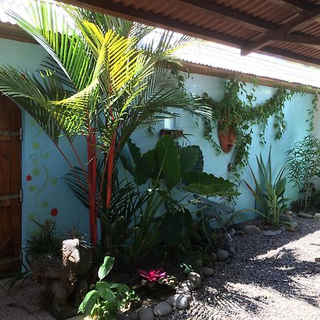 Puerto Viejo de Talamanca Sueno Grande B&B المظهر الخارجي الصورة