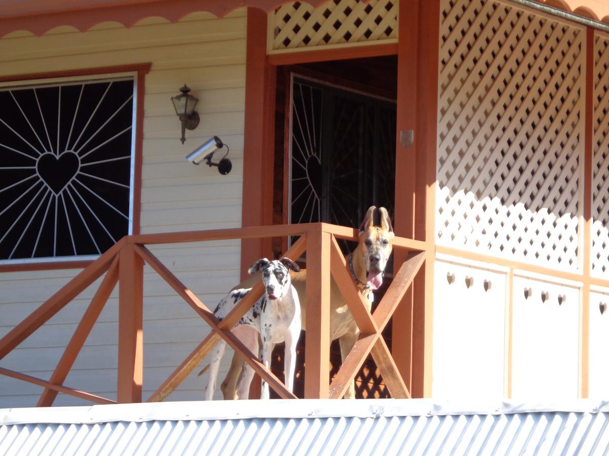 Puerto Viejo de Talamanca Sueno Grande B&B المظهر الخارجي الصورة